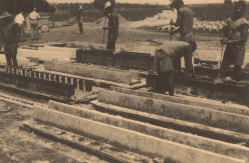 Building the Cunene agricultural settlement in Angola: a perspective on labour